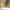 Classic Beeswax Lip Balm - Individual