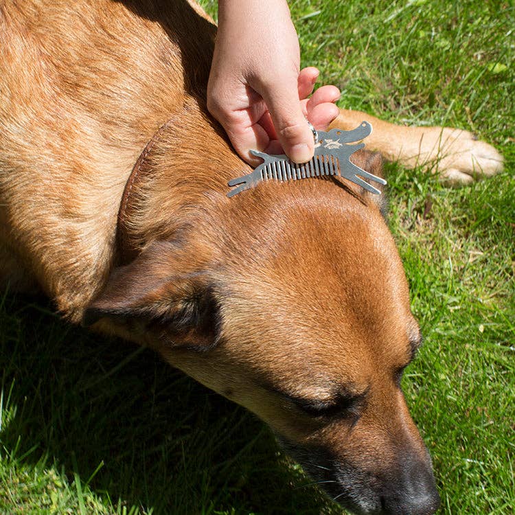 Tick Hook and Comb Tool