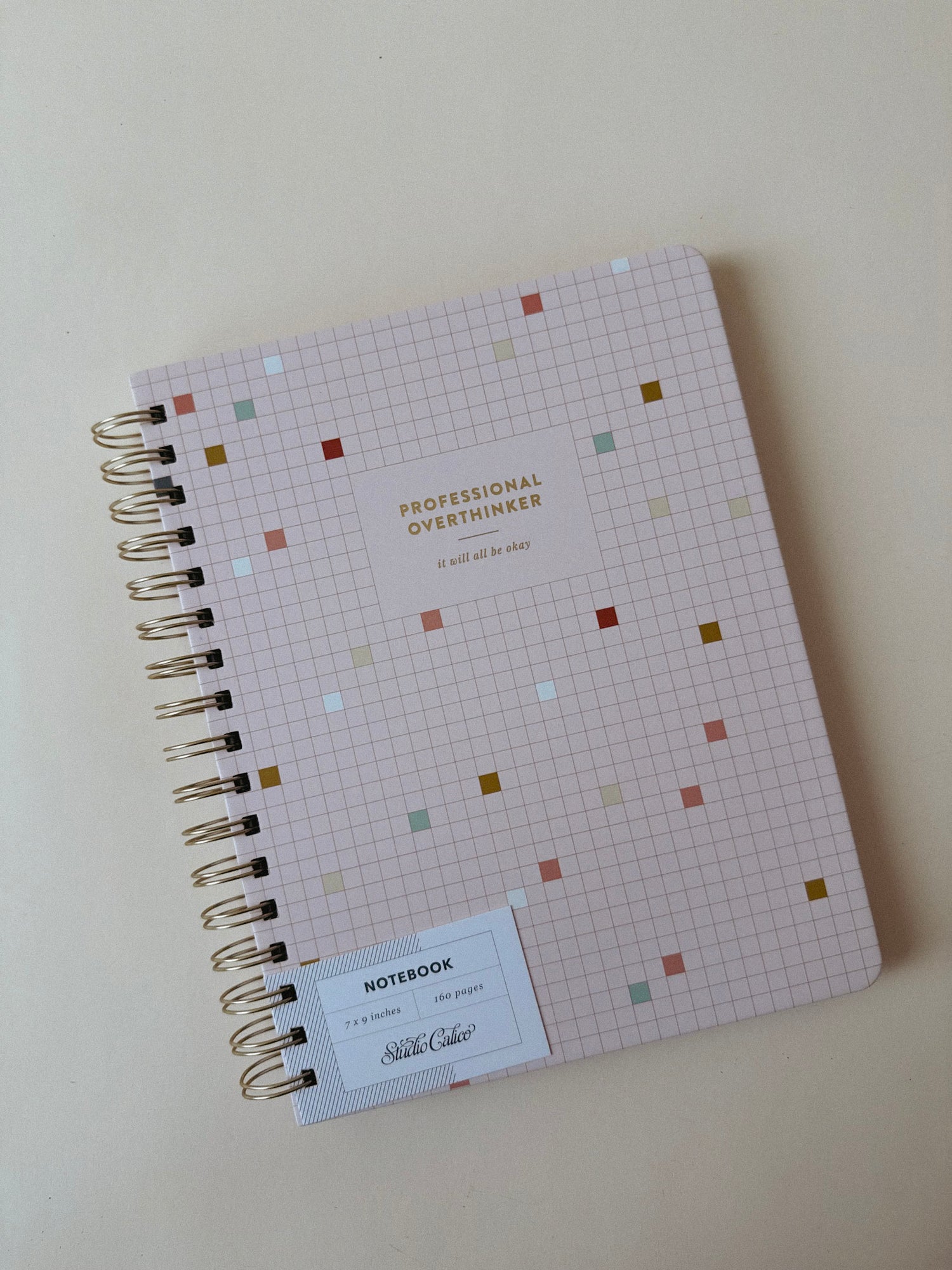 Professional Overthinker Spiral Notebook
