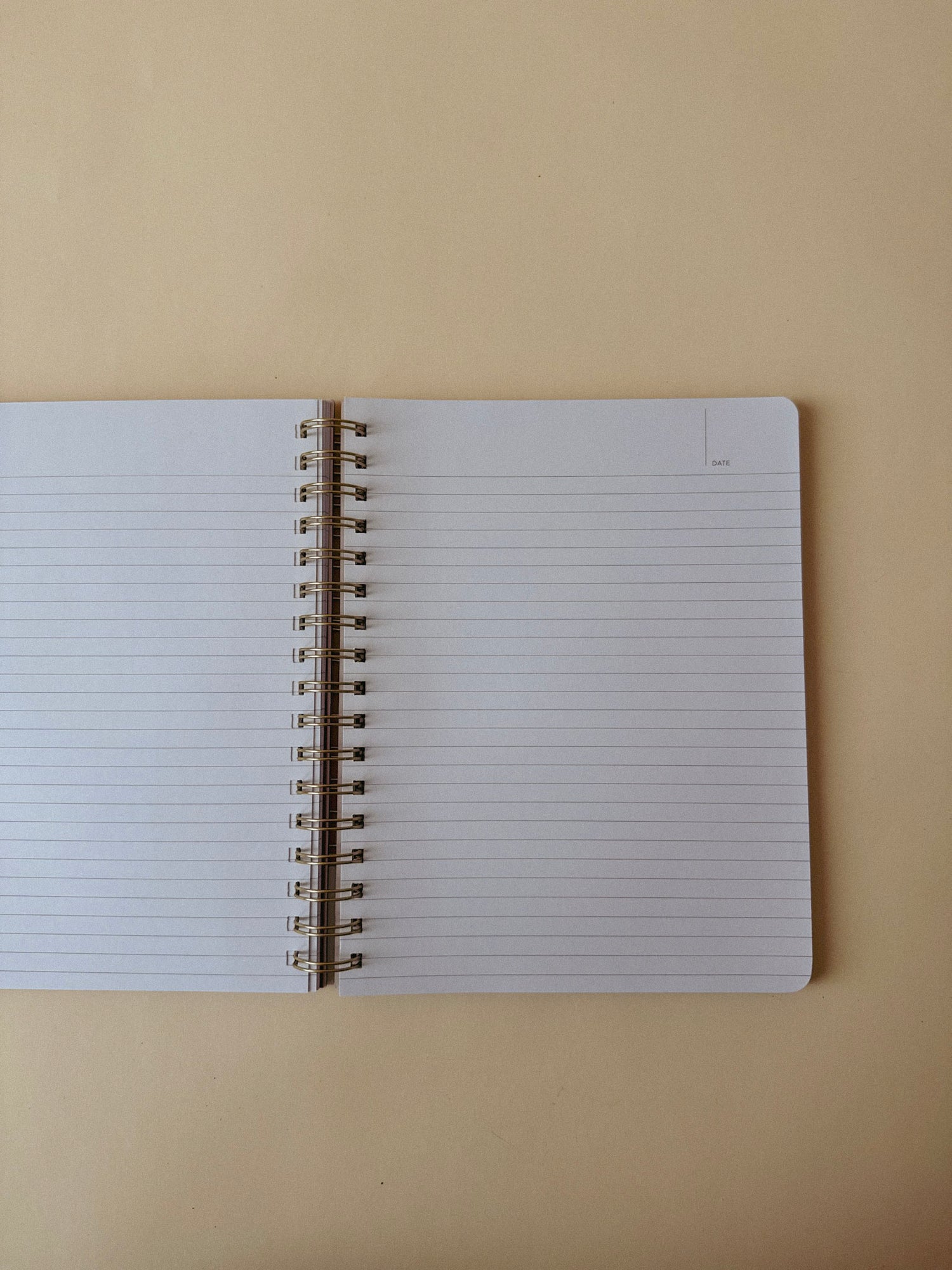 Professional Overthinker Spiral Notebook