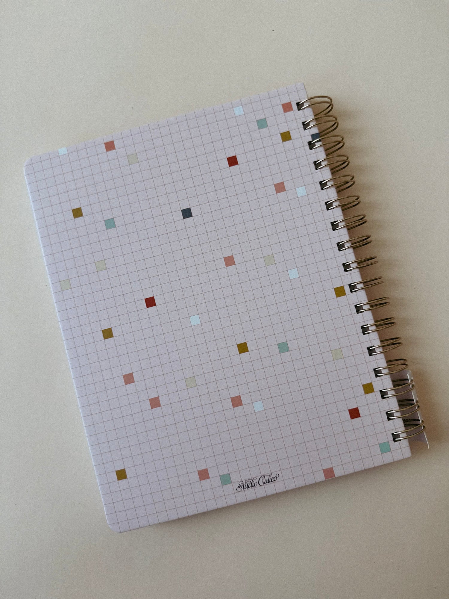 Professional Overthinker Spiral Notebook