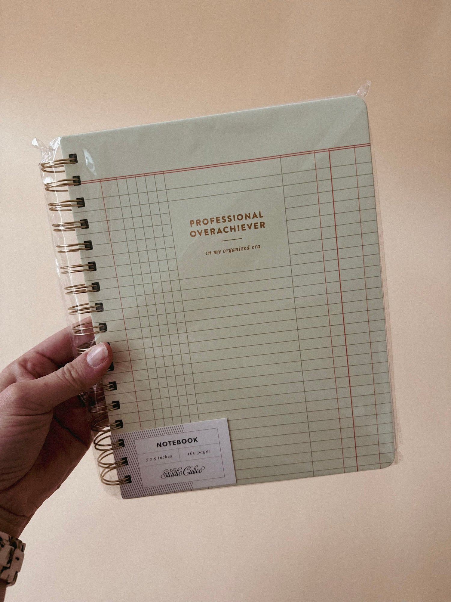Professional Overachiever Spiral Notebook