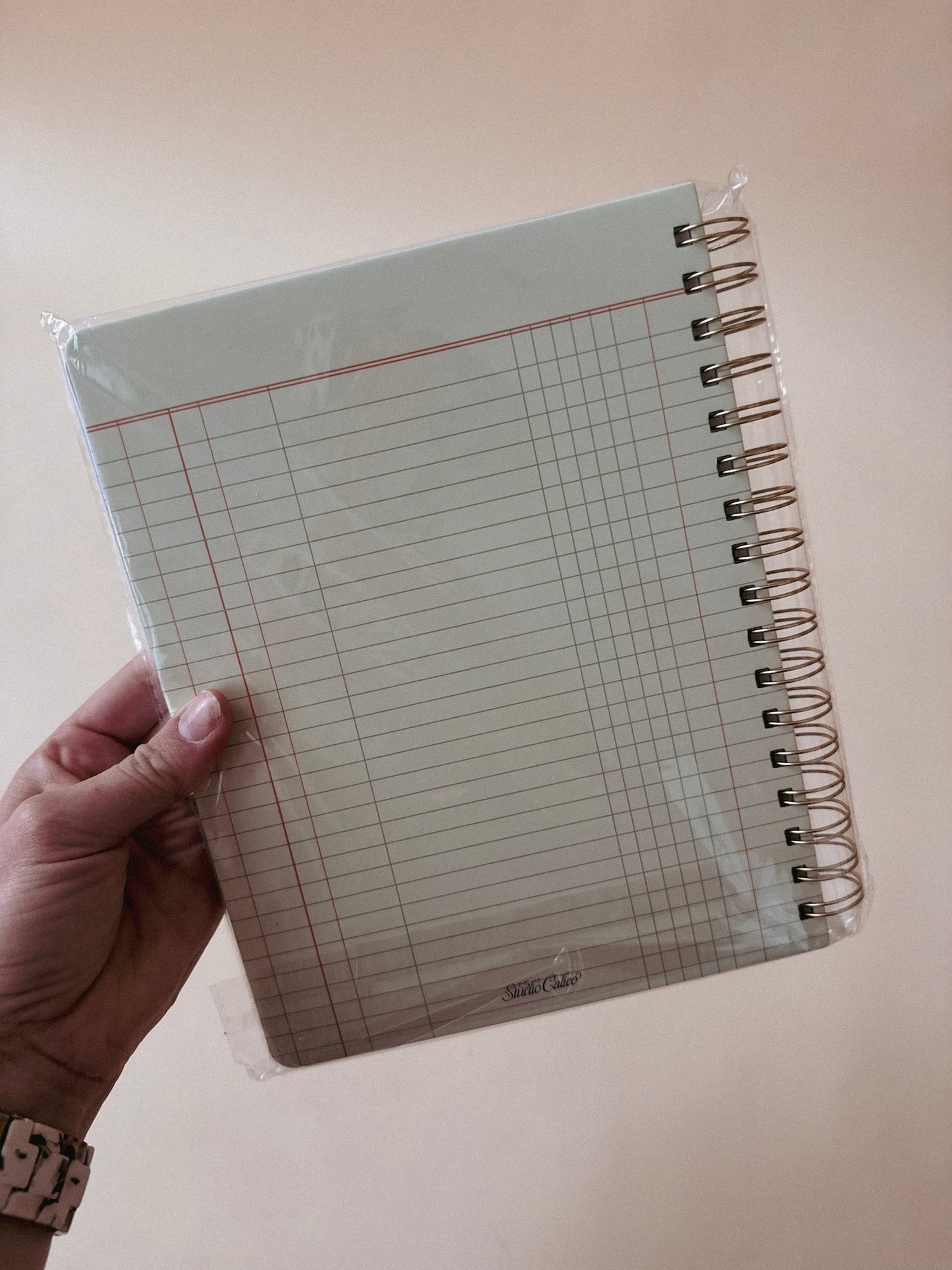 Professional Overachiever Spiral Notebook