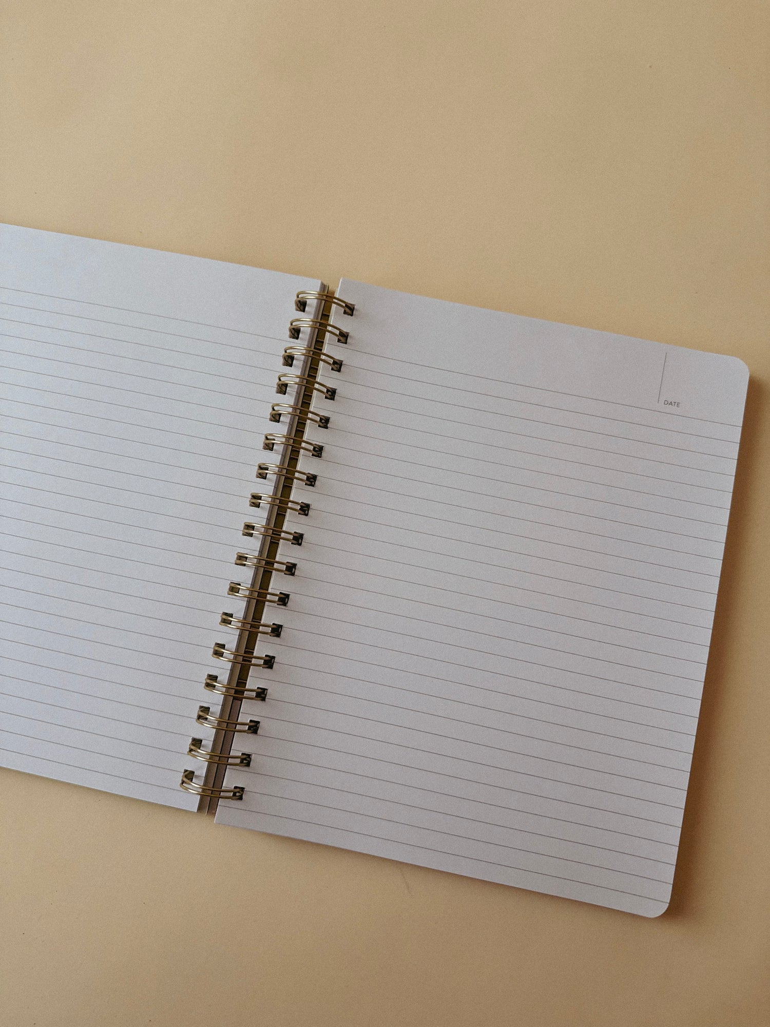 Professional Overachiever Spiral Notebook
