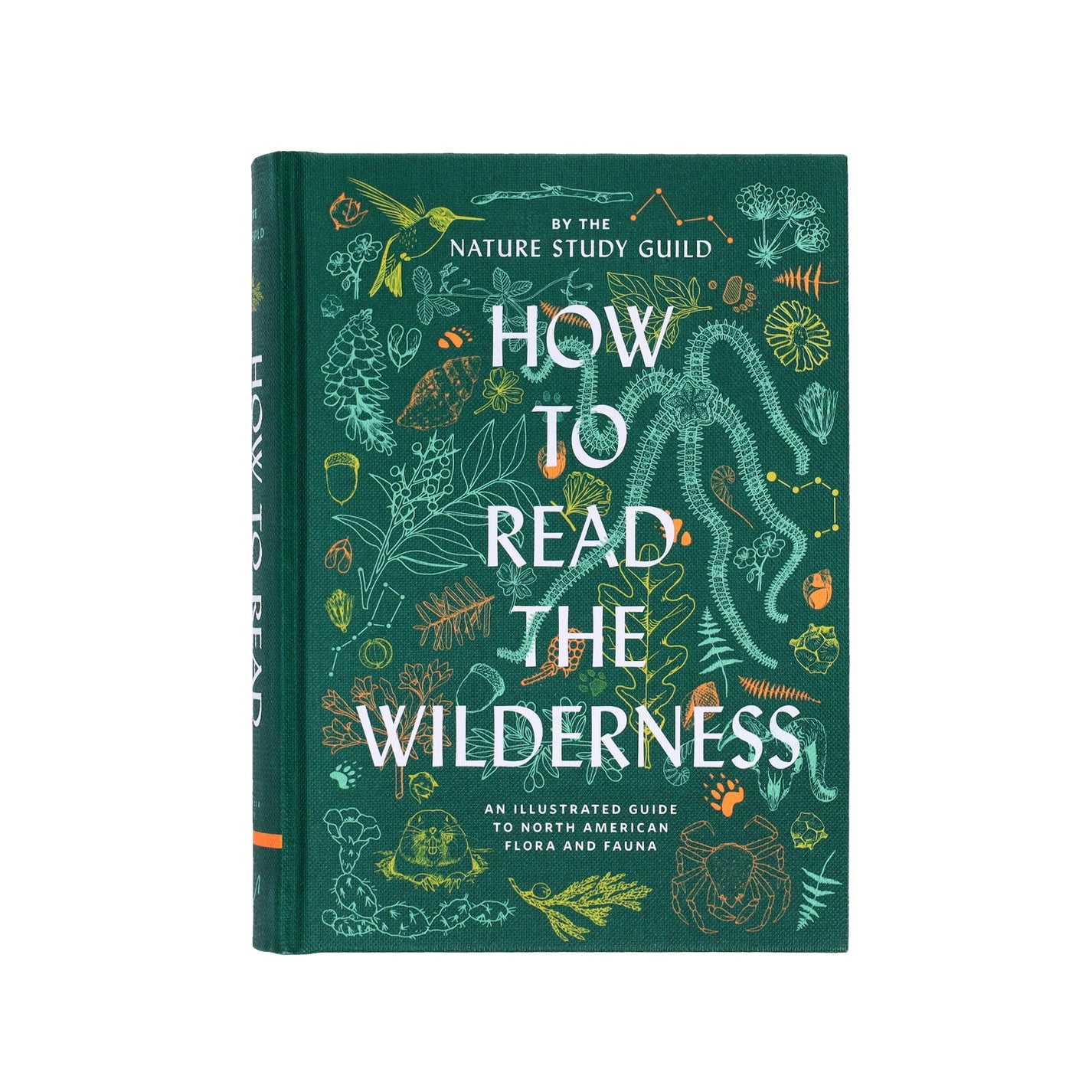 How to Read the Wilderness Book