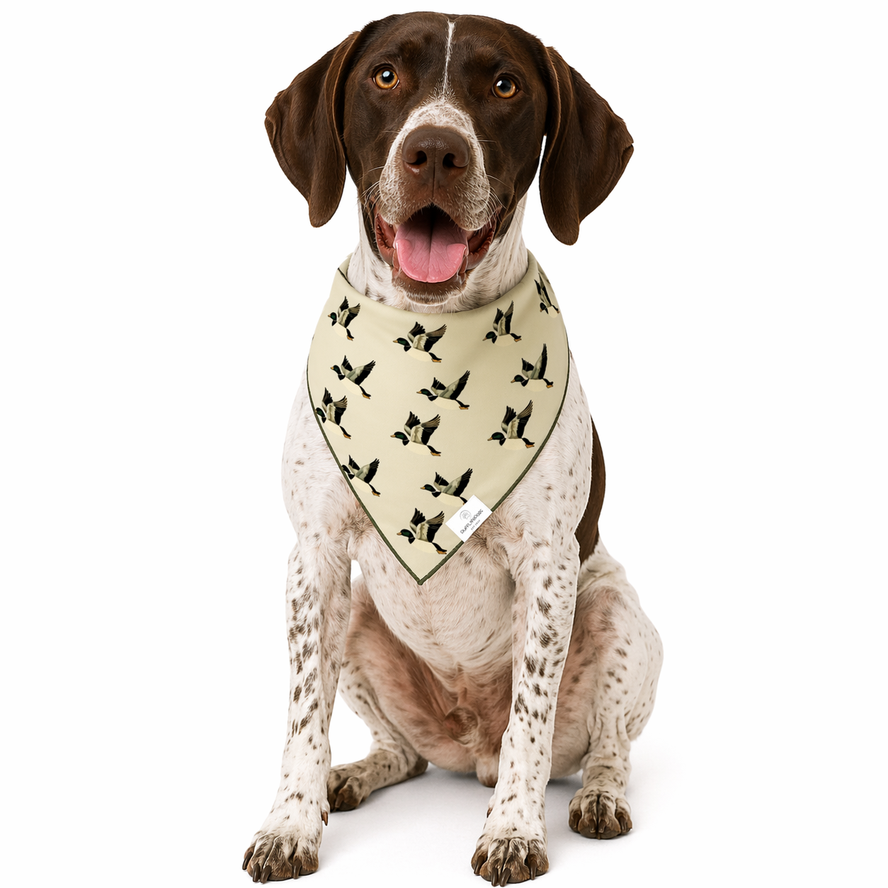 Mallard Duck Dog Bandana