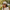 Classic Canvas Hat – Mahj