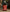 Room Spray | The Americana Series | American Dream