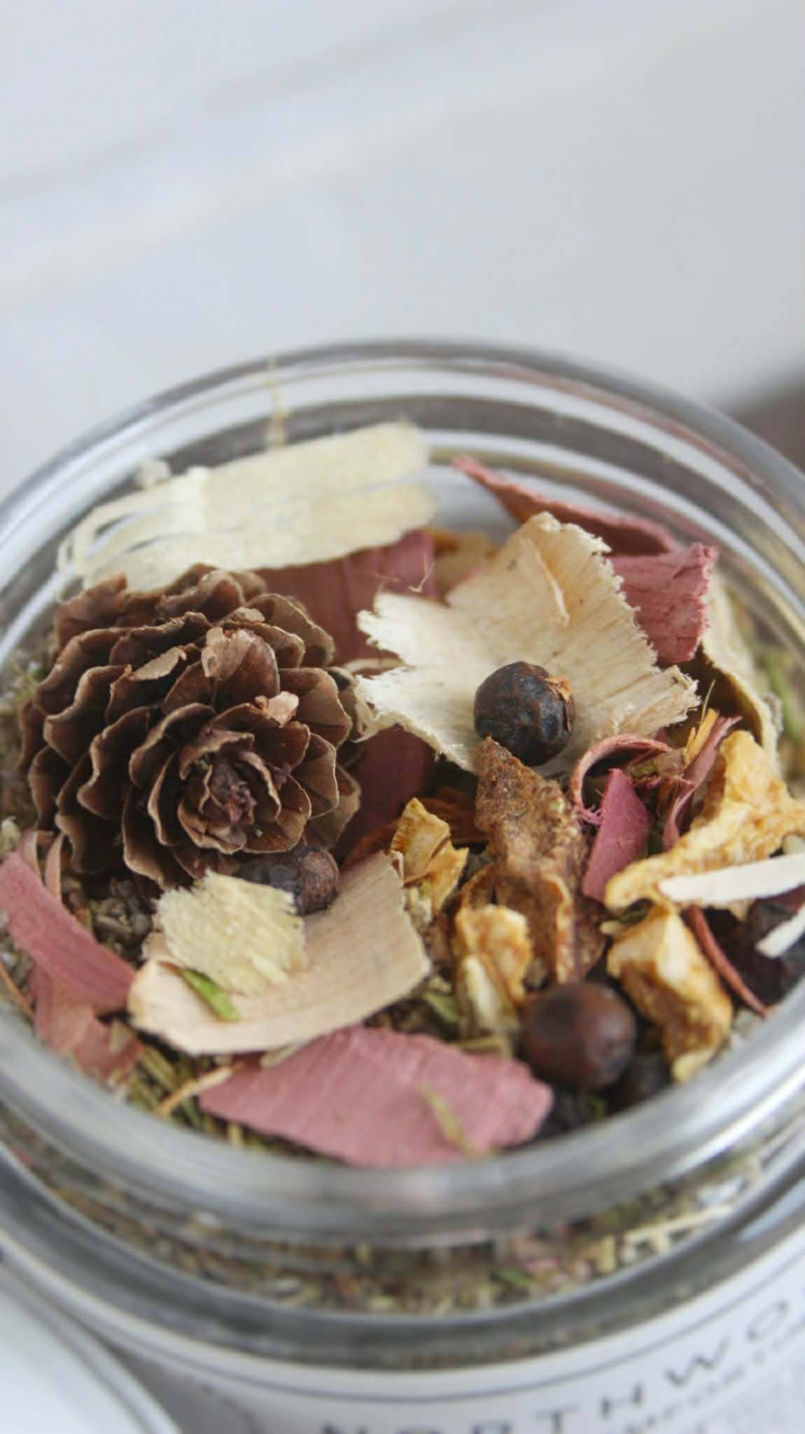 Northwoods Cabin Warm + Comforting Simmer Pot Blend