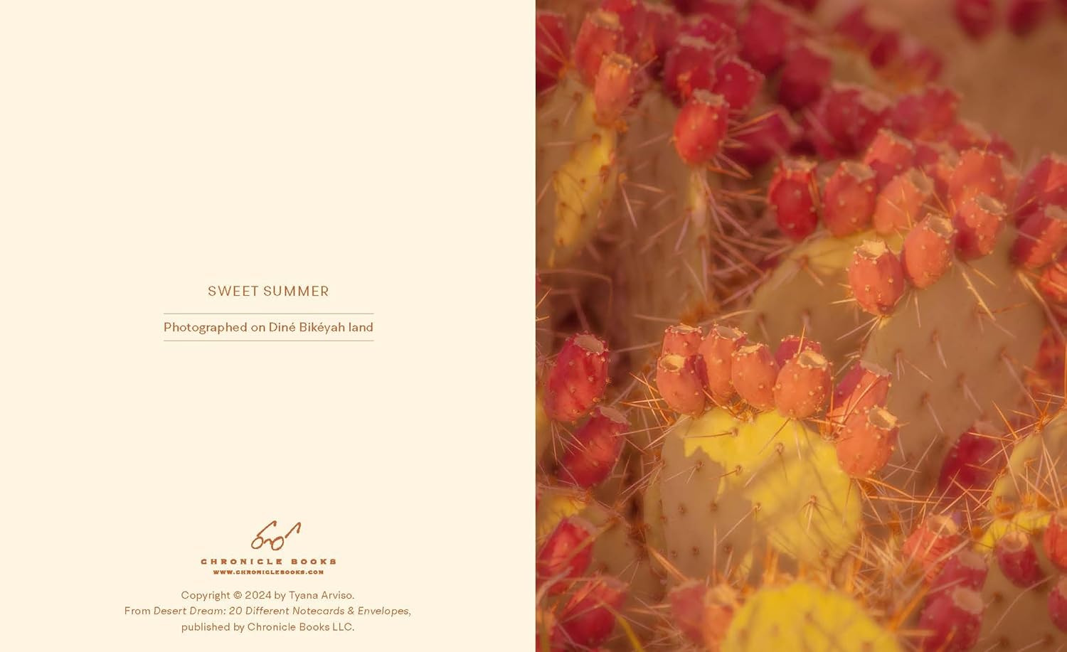 Desert Dream Notes: 20 Different Notecards and Envelopes
