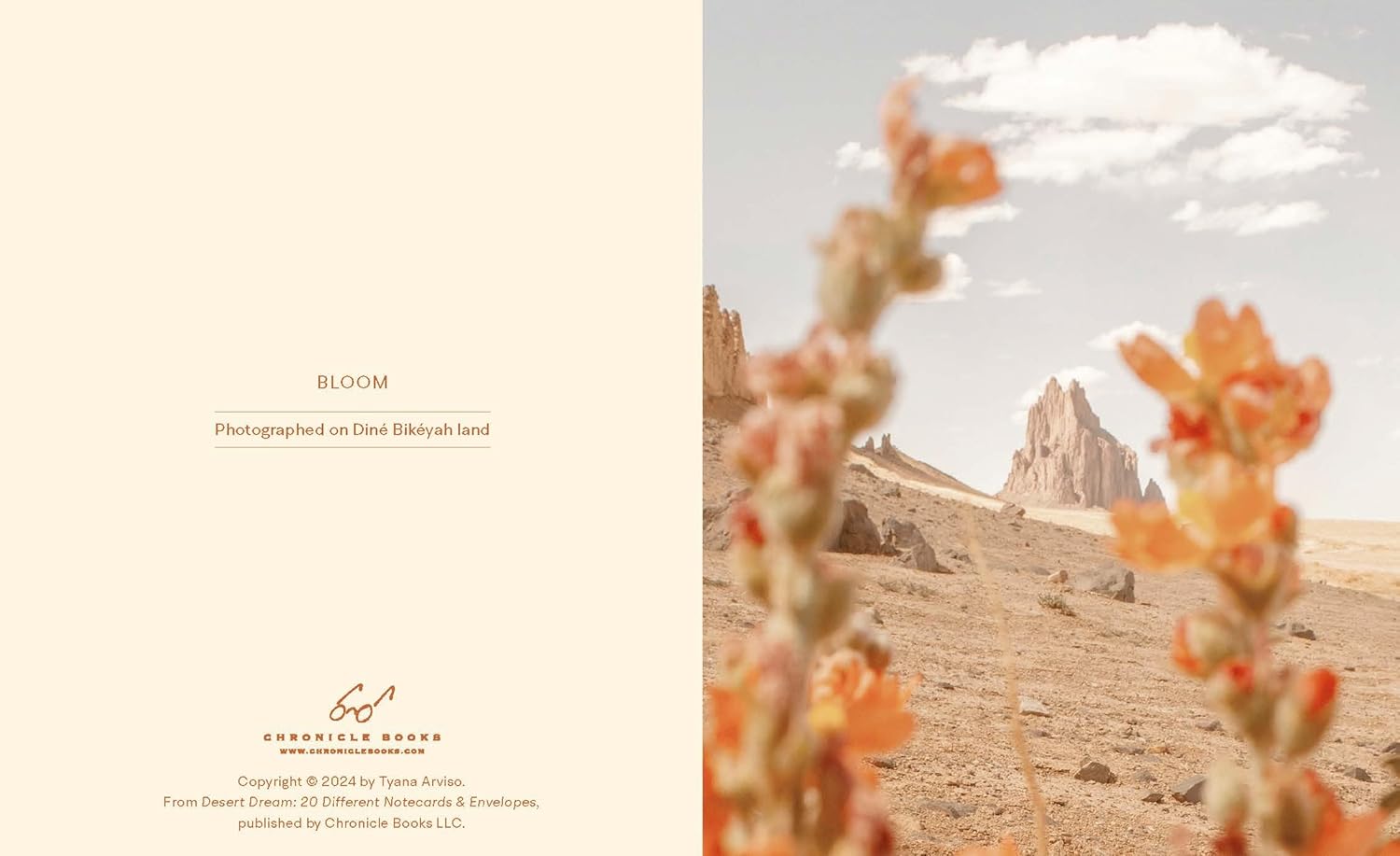 Desert Dream Notes: 20 Different Notecards and Envelopes