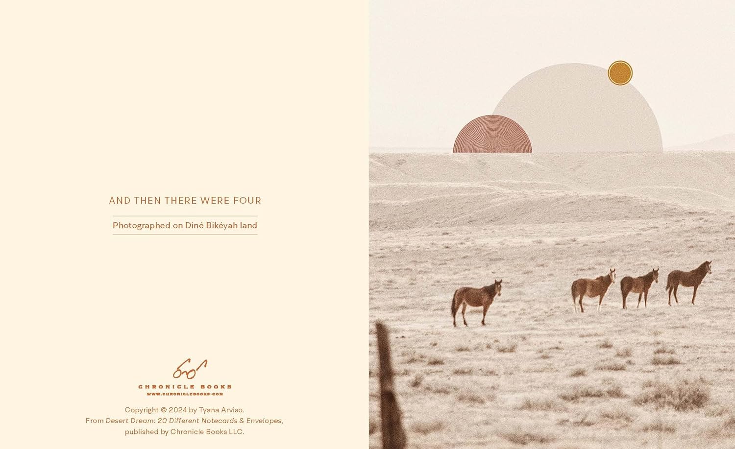 Desert Dream Notes: 20 Different Notecards and Envelopes