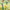 Greetings From Iowa Postcard Felt Banner