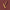 Roxie Lip Tint