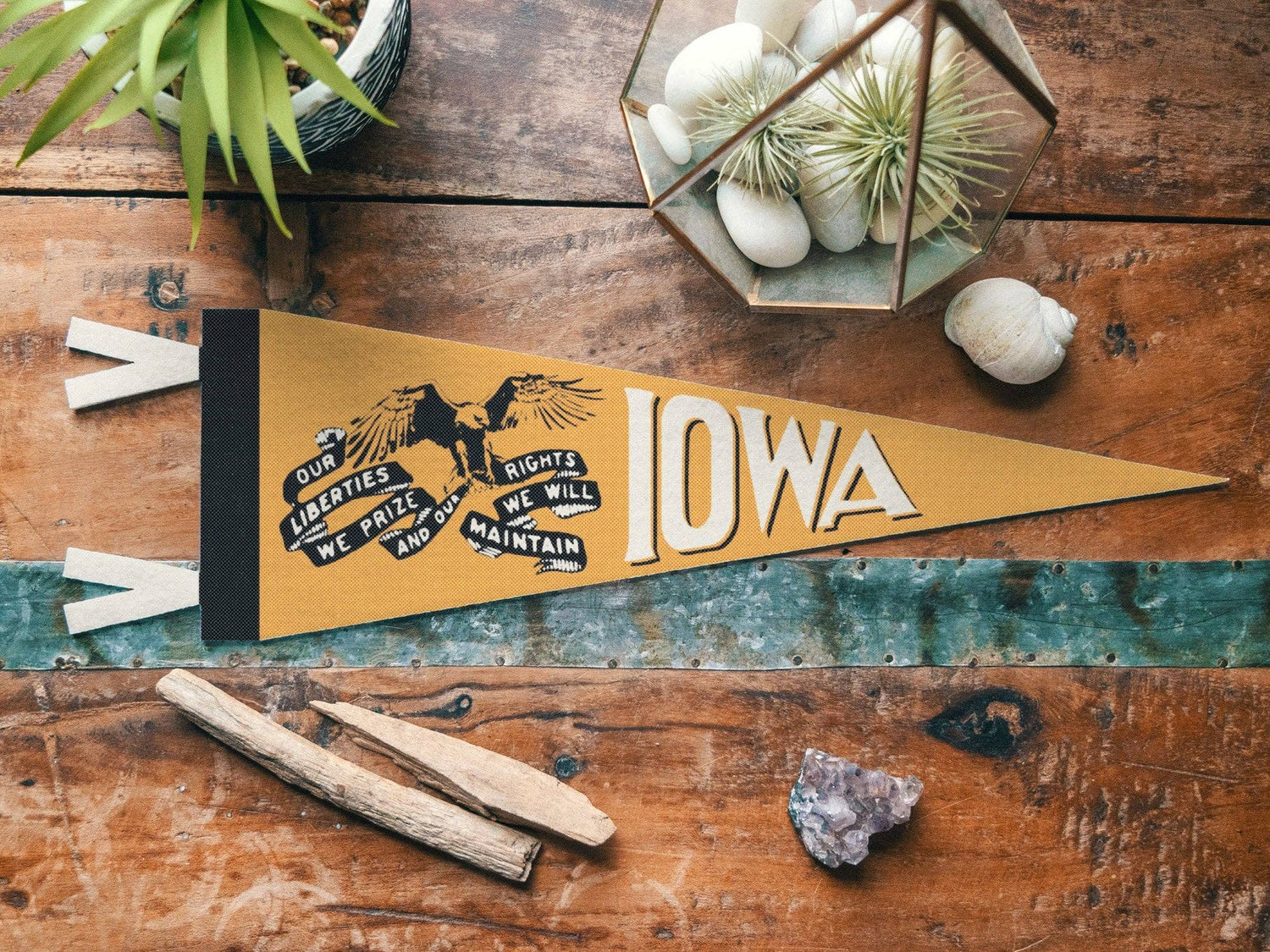 Iowa Felt Mini Pennant