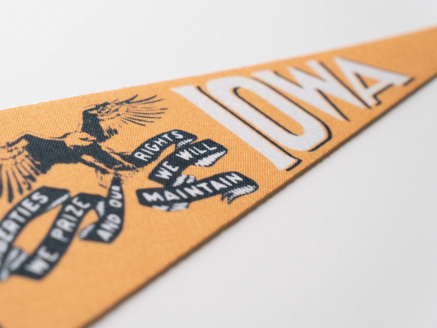 Iowa Felt Mini Pennant