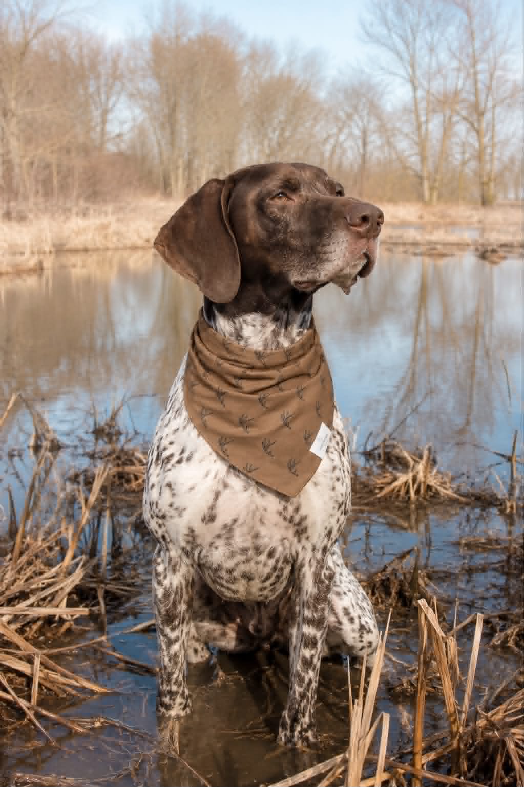 Antlers Dog Bandana