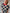 Short Sleeve Knit Checkered Top (extended sizing)