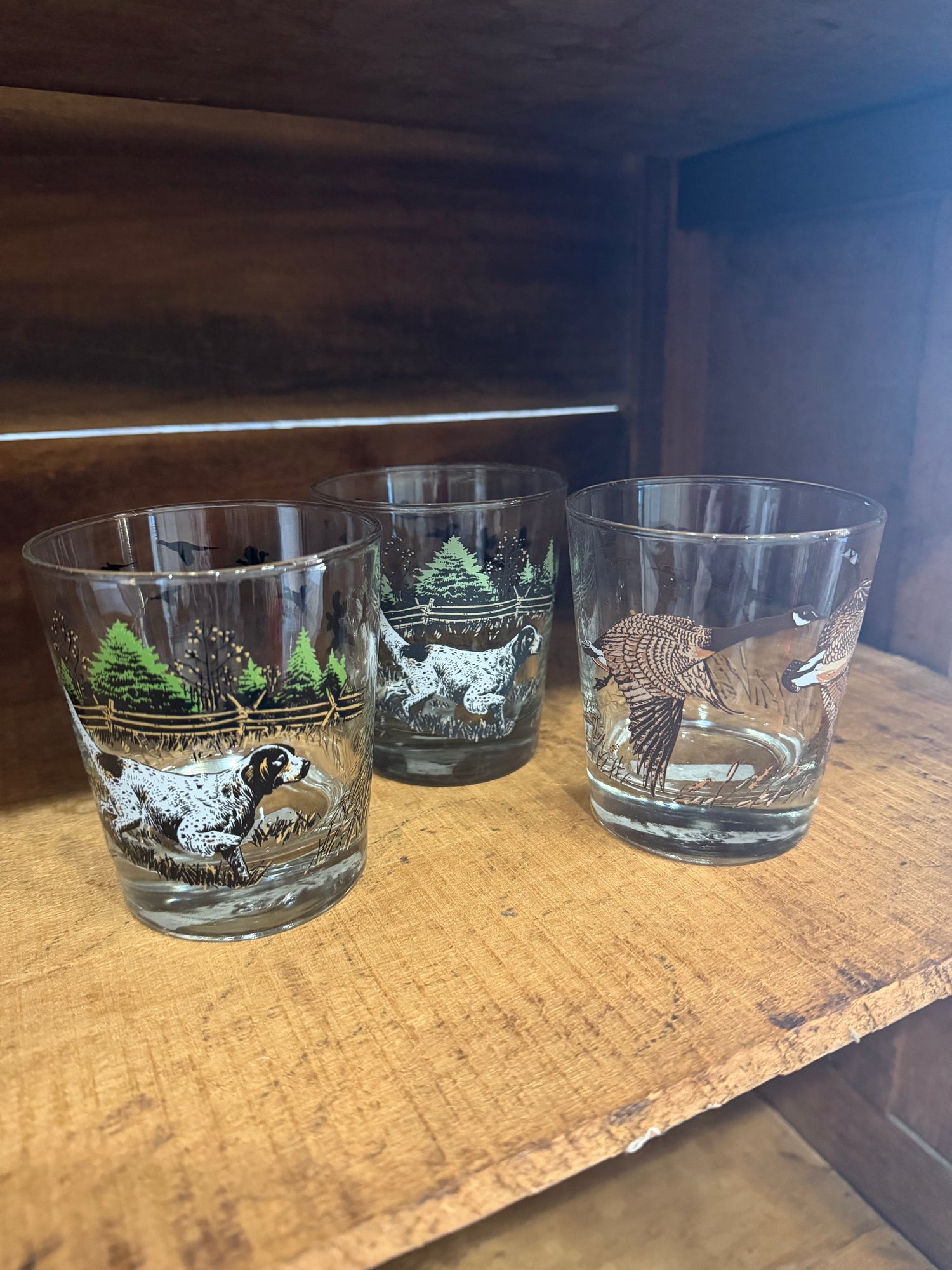 VINTAGE // short wildlife glasses