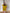 Textured Mustard Two Piece Set