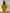Textured Mustard Two Piece Set