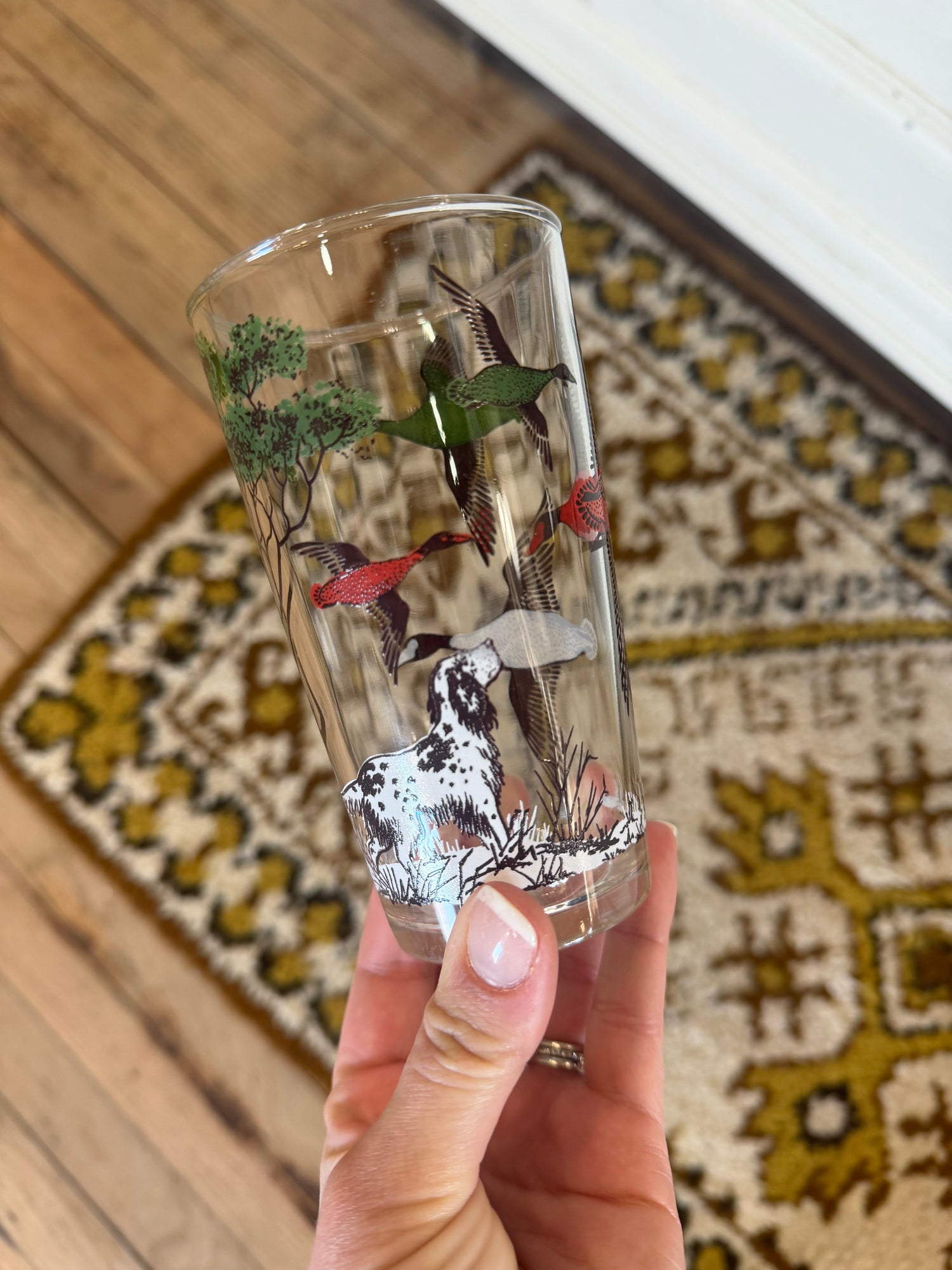 Colorful Vintage Duck Glasses