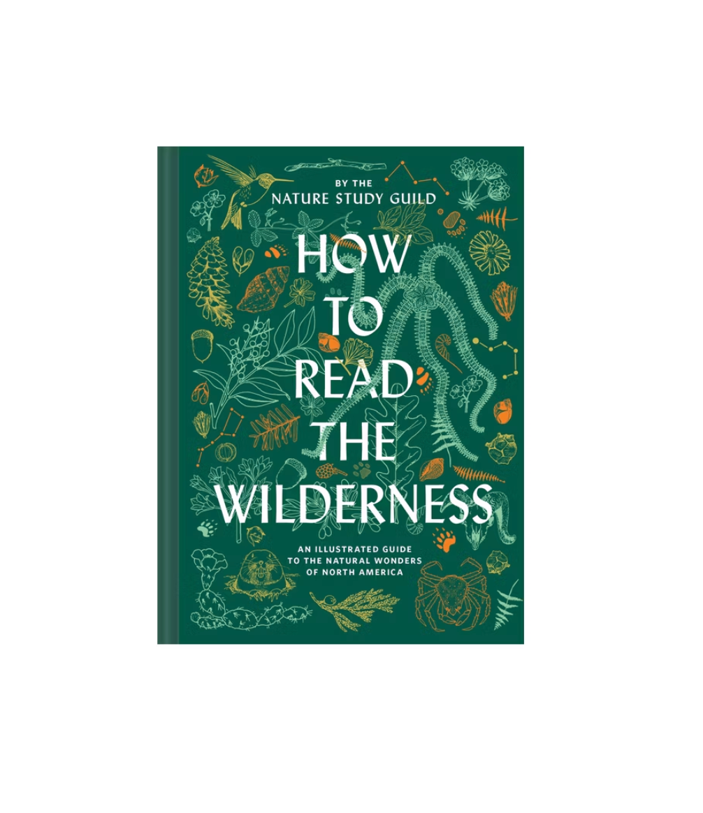 How to Read the Wilderness Book