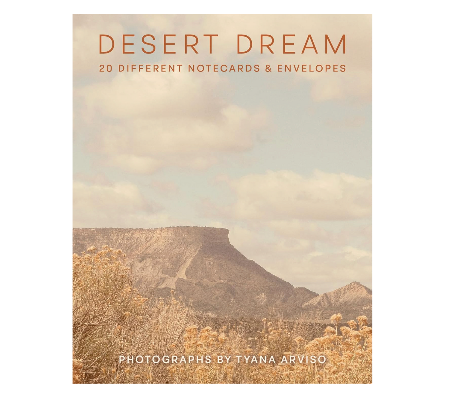 Desert Dream Notes: 20 Different Notecards and Envelopes