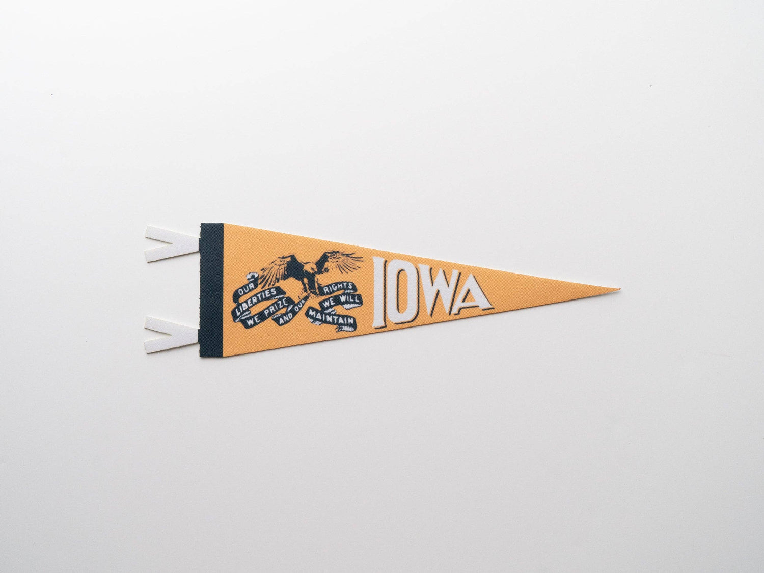 Iowa Felt Mini Pennant