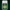 Bug & Tick Repellent Spray