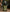 Room Spray | The Americana Series | Hunting Lodge
