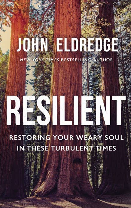 Resilient Book