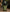 Room Spray | The Americana Series | Hunting Lodge