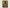 You're Golden Sunflower Greeting Card