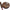 Final Strut Black Walnut Wood Turkey Pot Call