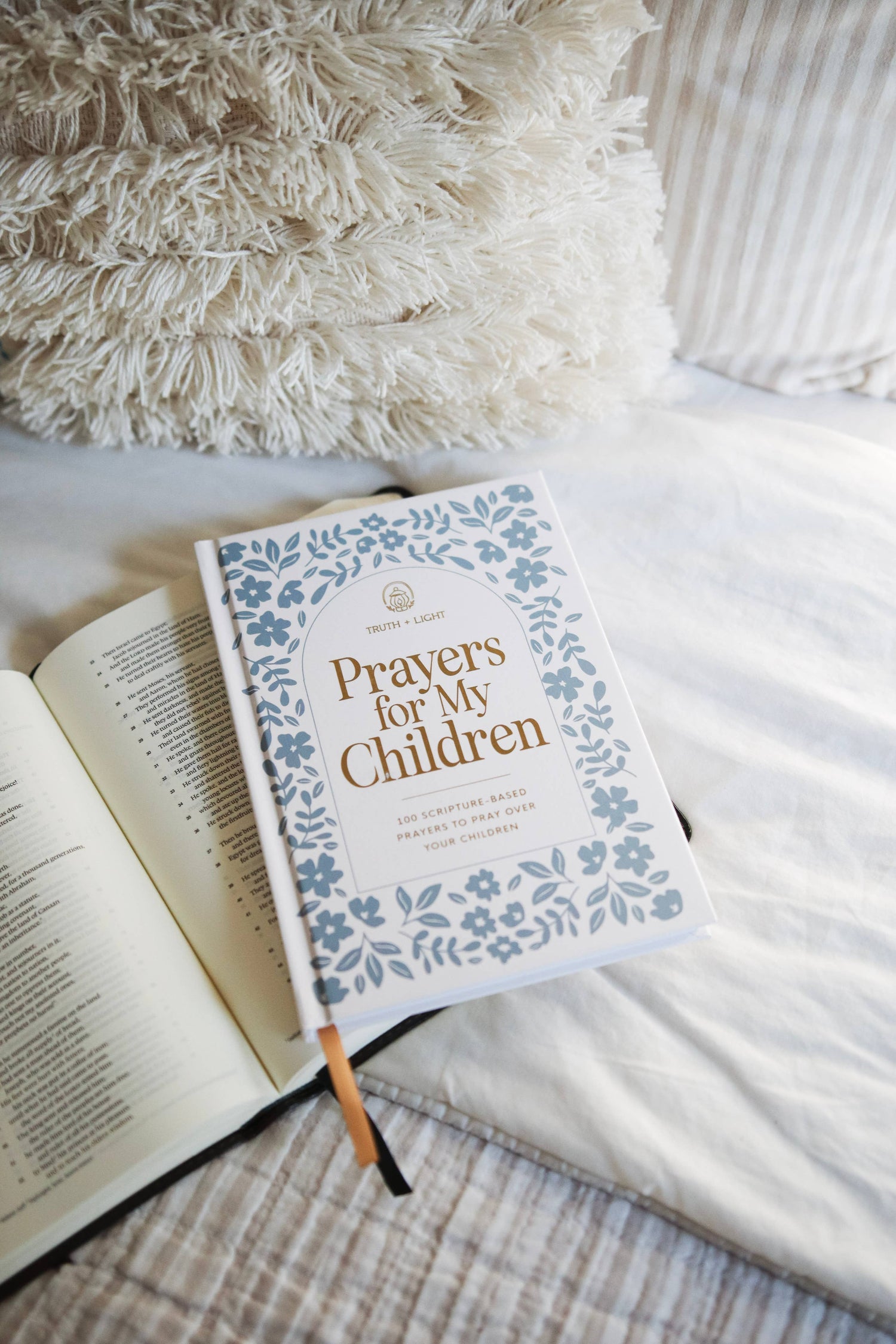 Prayers for My Children: 100 Prayers to Pray over Your Kids Book
